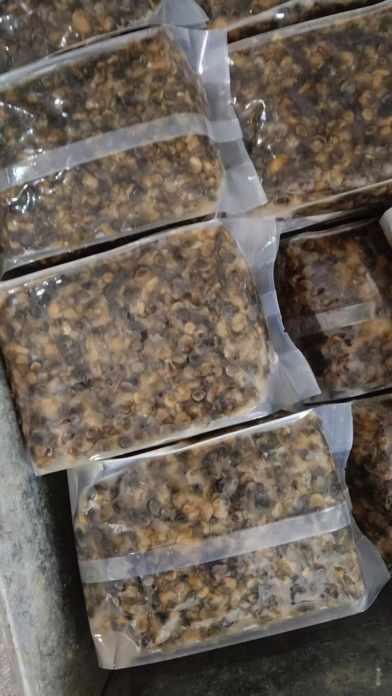 各种田螺肉大中小