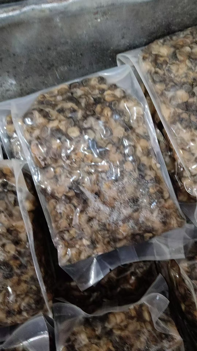 各种田螺肉大中小