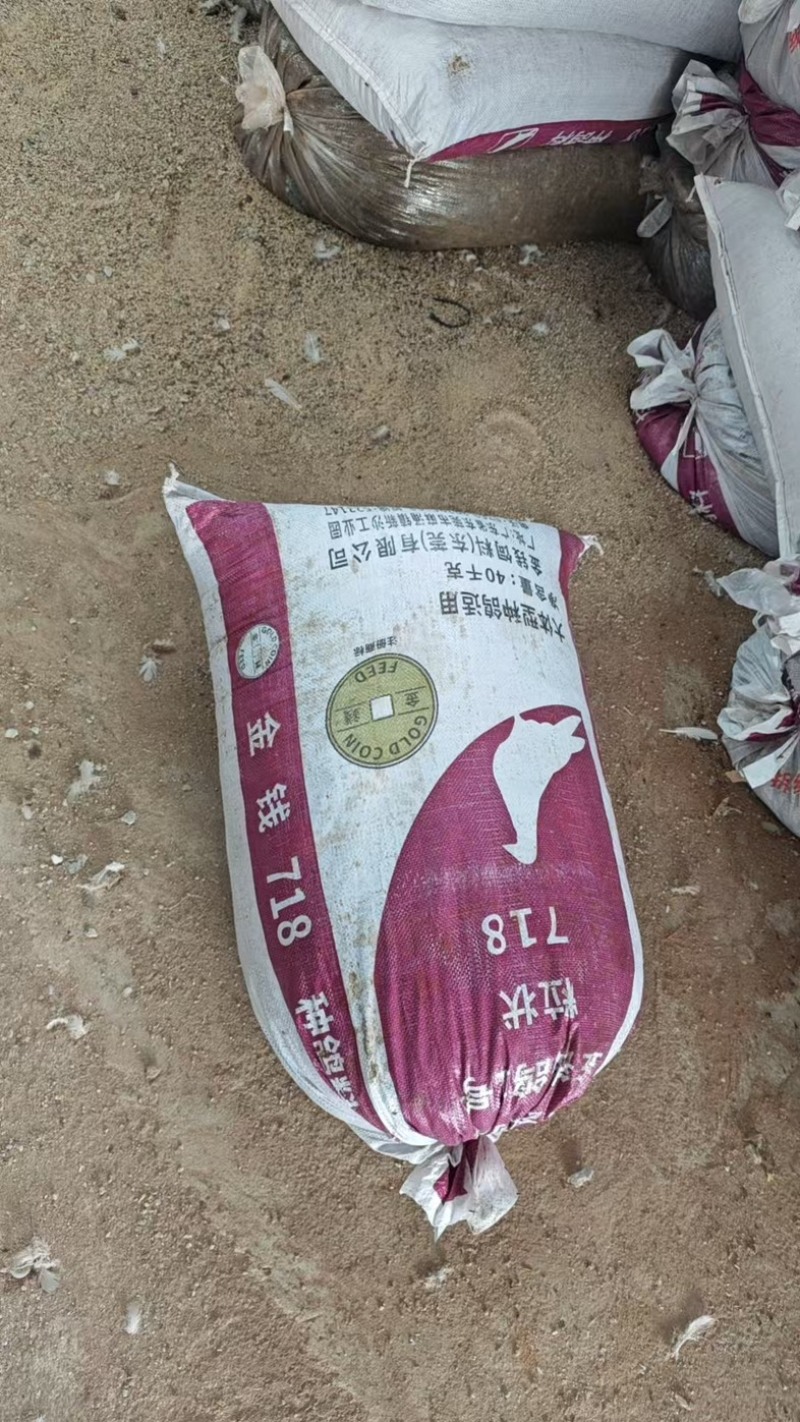 优质干身鸽子粪保证干身不湿长期供应鸽子粪