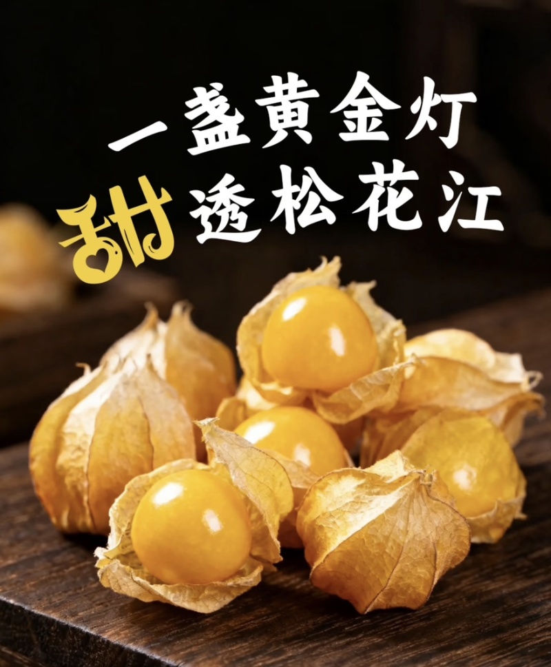 姑娘果精品灯笼果黄菇娘特产甜姑娘果可对接电商市场商超