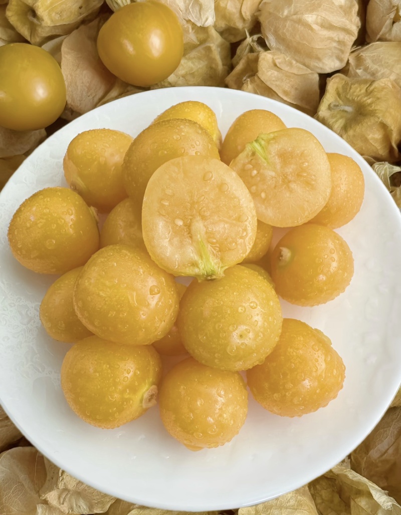 姑娘果精品灯笼果黄菇娘特产甜姑娘果可对接电商市场商超