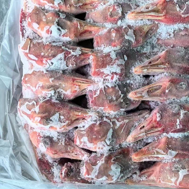 带舌仔鹅头