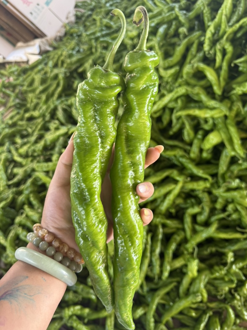 螺丝椒