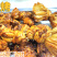 厨厨乐豆扣串