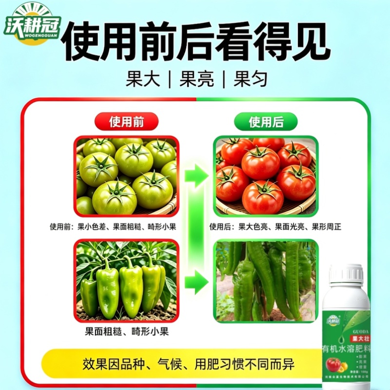 有机水溶肥膨果肥水剂100g试用装膨果增甜增重果亮