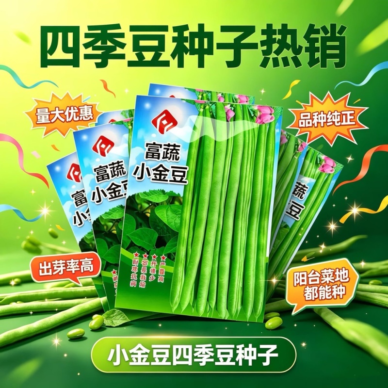 富蔬小金豆种子耐寒抗病四季豆种子质脆味甜产量高