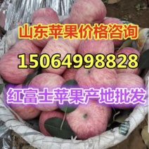 早熟鲁丽美八苹果产地直发价格低，质量好！信誉好！