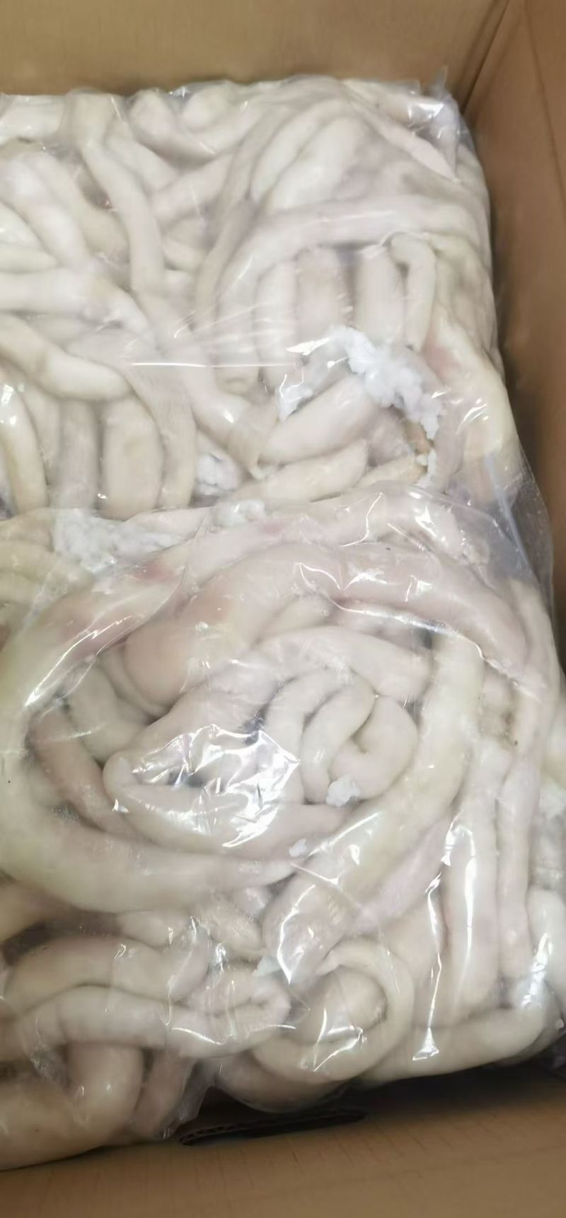 熟羊肠