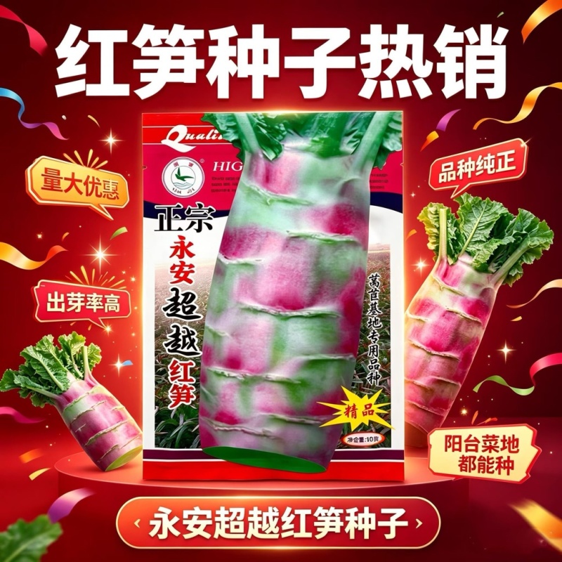 永安飞桥莴笋种子红尖叶莴笋种子皮薄香味浓可食用率高基地用