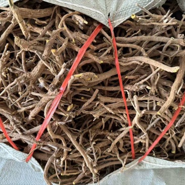 黄芩大通