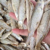 水煮白条，十成干，价格便宜，需要的老板联系我曾姐小鱼
