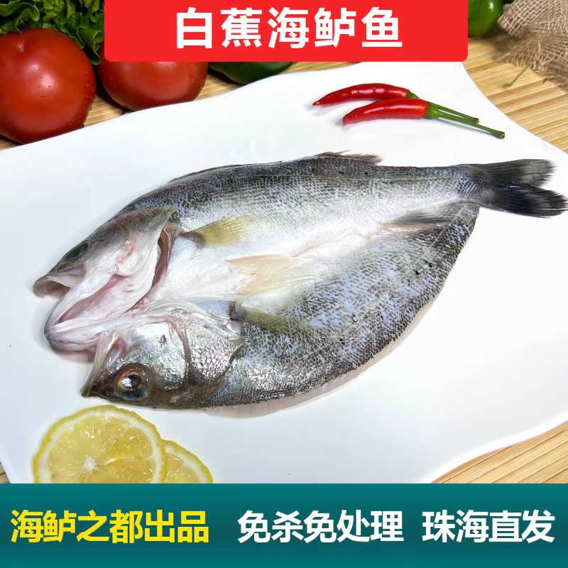 （白蕉海鲈鱼）冷冻批发/一件代发/珠海直发/全国供应批发