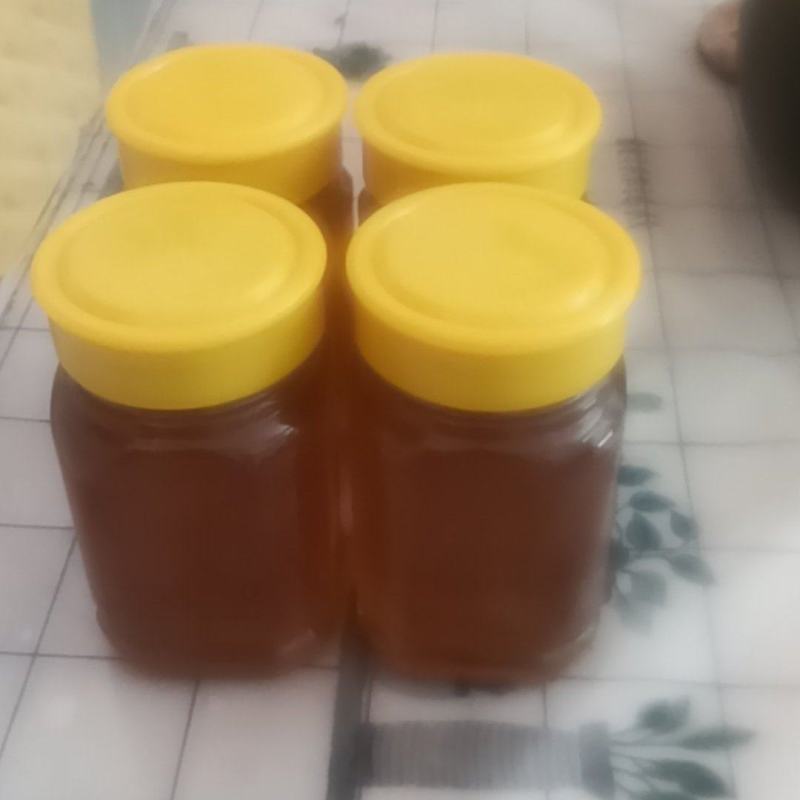 ，深山土蜂蜜。