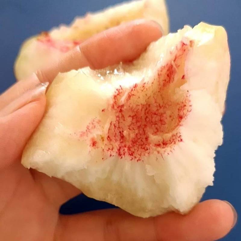 北京十四，是我们这里的一手货源，离核果，口感脆甜汁多，