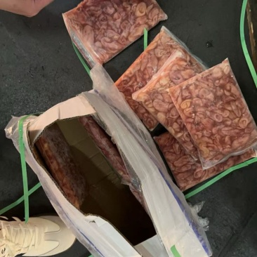 巴沙鱼肚鱼肚鱼肚巴沙鱼肚鱼肚