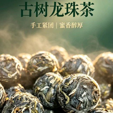古树龙珠古树茶散茶回甘甜淡淡兰花香