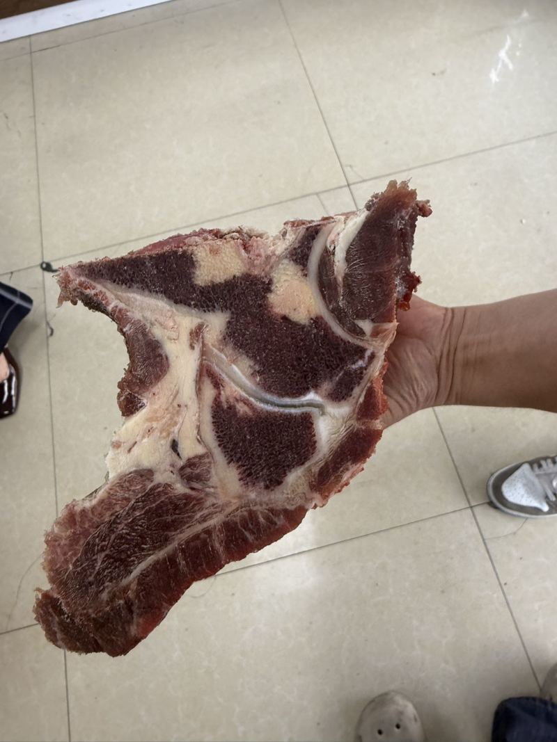 纯白油肩胛骨
