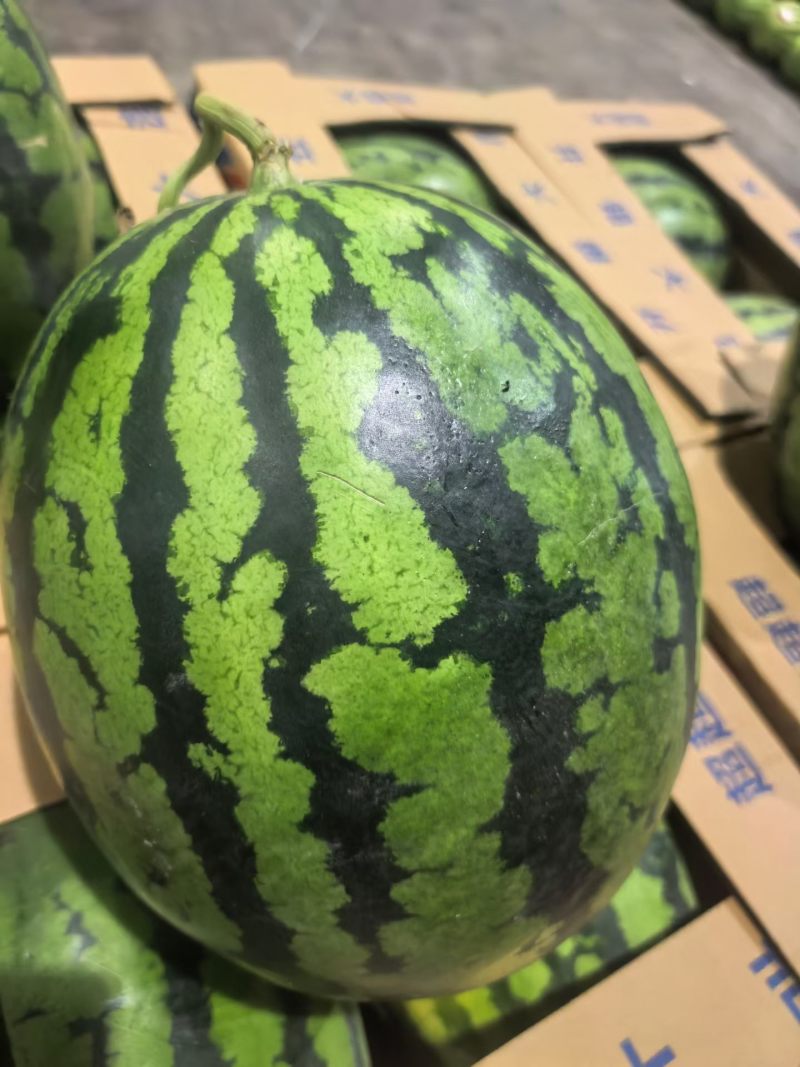 甜王西瓜