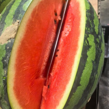 甜王西瓜