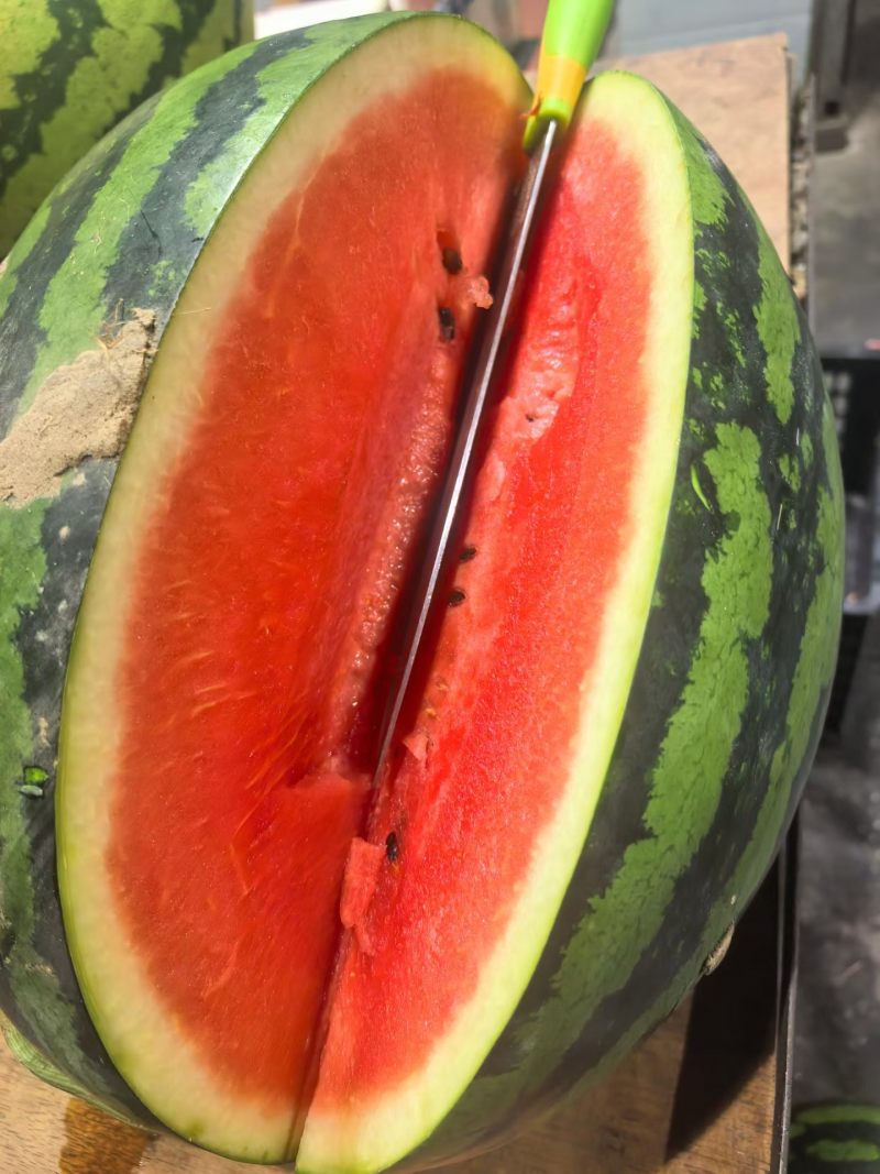 甜王西瓜