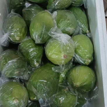 香水柠檬