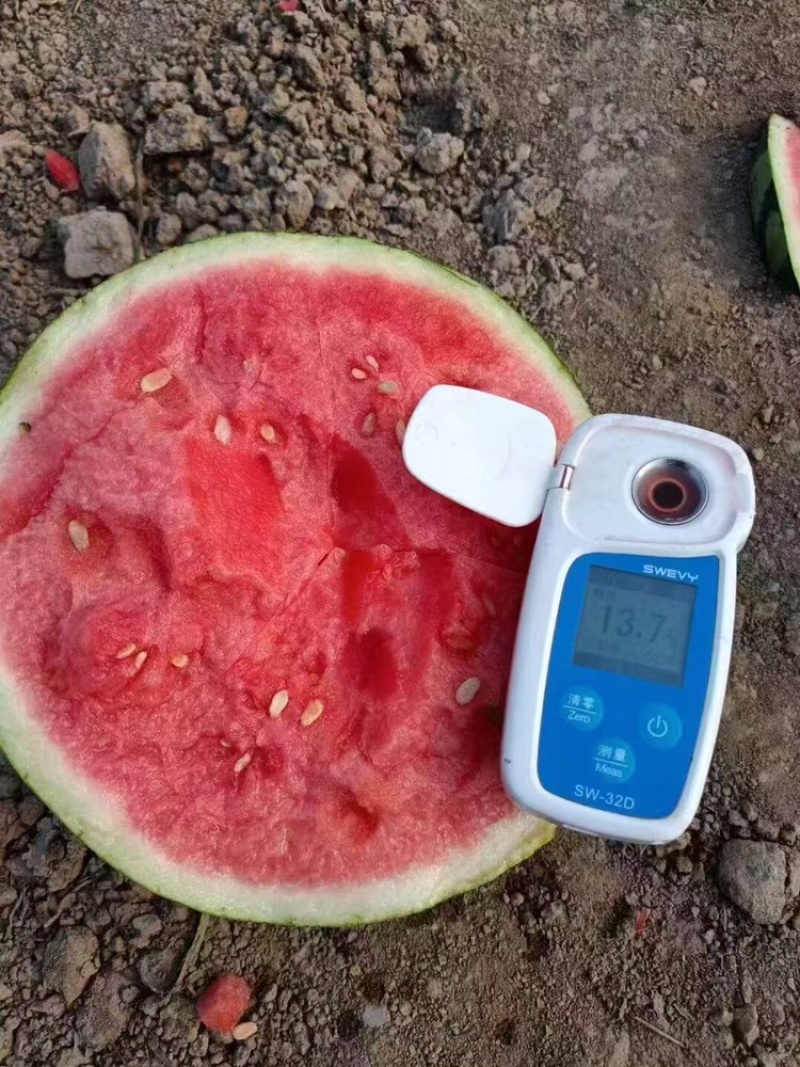 甘肃台农无籽麒麟美都西瓜台农种植质量三包