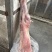 鲜冻直条羊，全国发货10-50斤