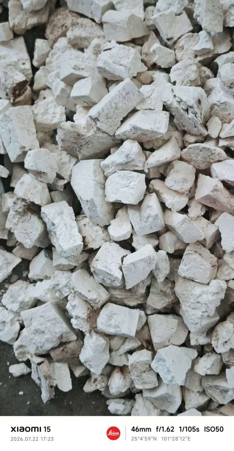云南茯苓丁对接全国市场价格美丽质量好热卖全国欢迎询价