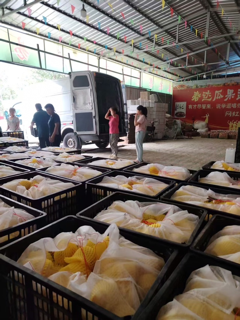 嘎啦苹果口感脆甜色泽鲜艳产地直销现摘现卖全国发货