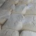 新鲜豆渣，适合喂猪、钓鱼、打窝、做饲料、窝料量大可聊