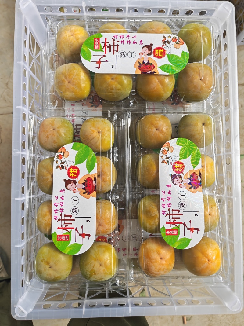 柿子