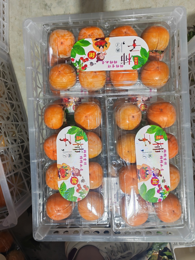 柿子