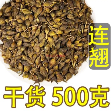包邮）中药材新货连翘无硫磺连壳500克