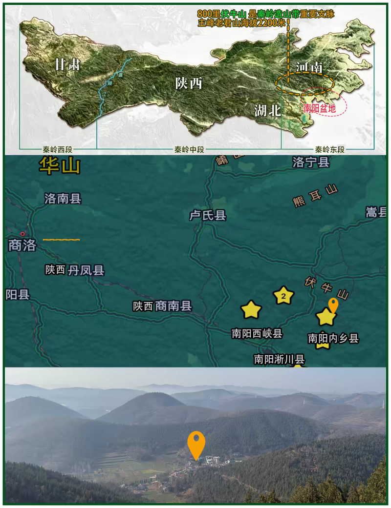 包邮）中药材新货连翘无硫磺连壳500克