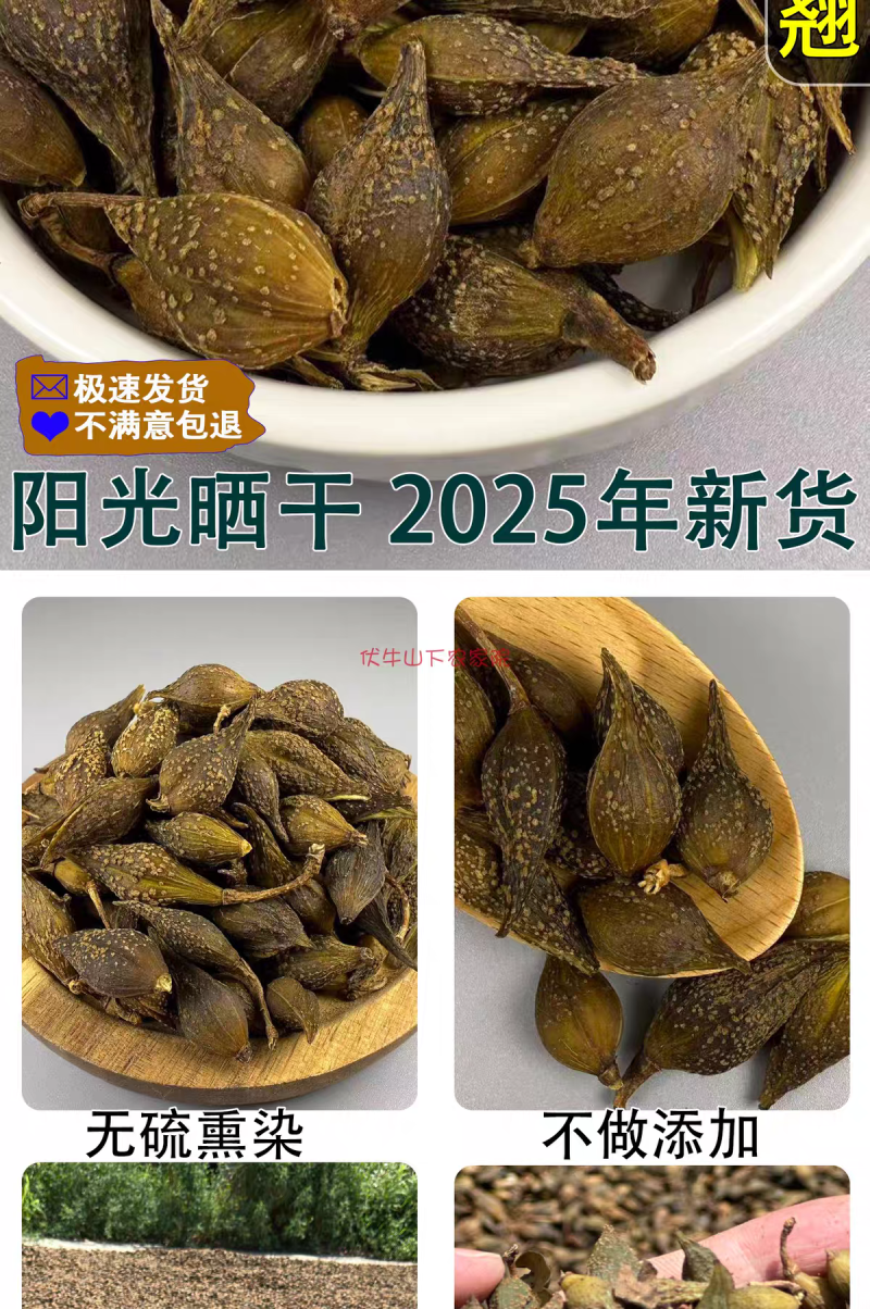 包邮）中药材新货连翘无硫磺连壳500克