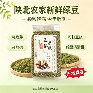 陕北梯田旱地绿豆自家农田优质羊粪培育小绿豆新豆子