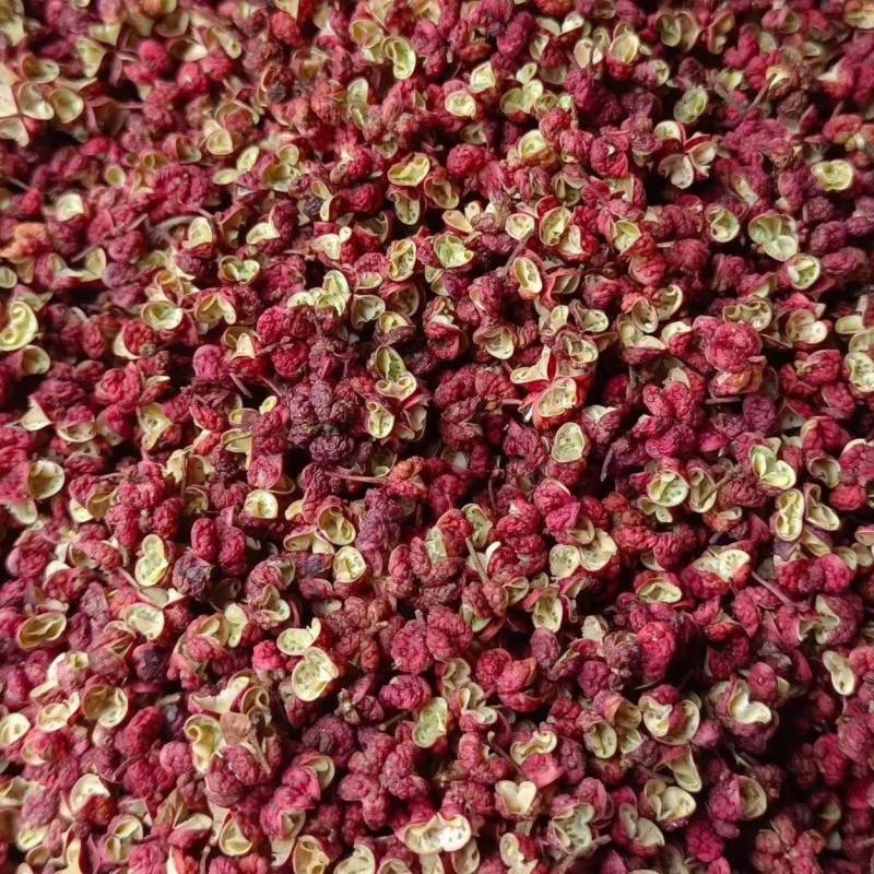 陇南武都大红袍花椒家用卤味火锅香料商用干货量大从优