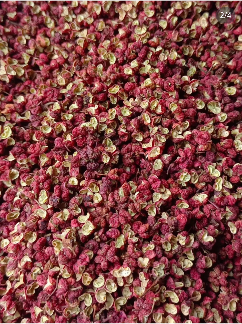 陇南武都大红袍花椒家用卤味火锅香料商用干货量大从优