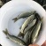 精品草鱼苗现货供应！鱼苗体质健壮，无病害，生长速度快。