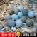 芦丁鸡蛋养殖基地直发批发长期供应包邮