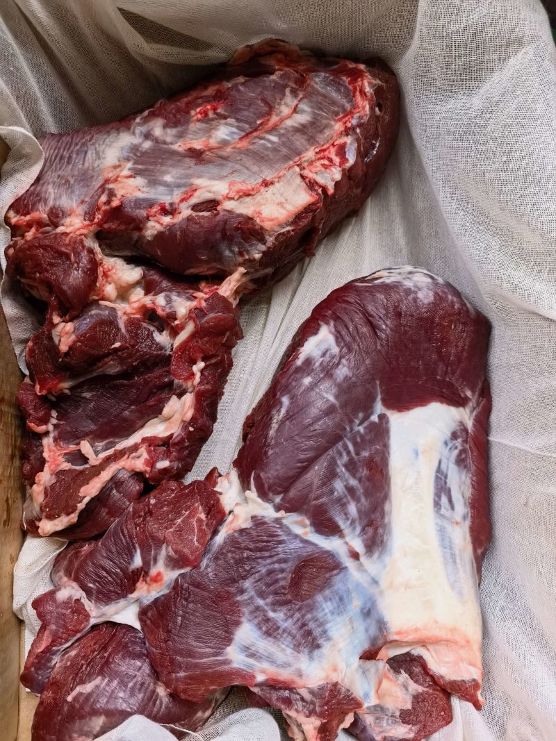 专注鲜牛肉批量供货现宰现发牛腩/牛腱/大条/上脑全品类