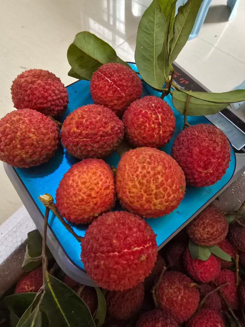 荔枝无核荔枝新鲜现摘现发品质优可视频看货支持全国发货欢迎