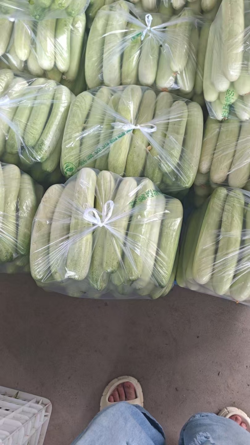 白黄瓜/高货/口感脆。支持产地视频，看货论价。欢迎大家购