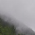 大巴山富硒木竹笋