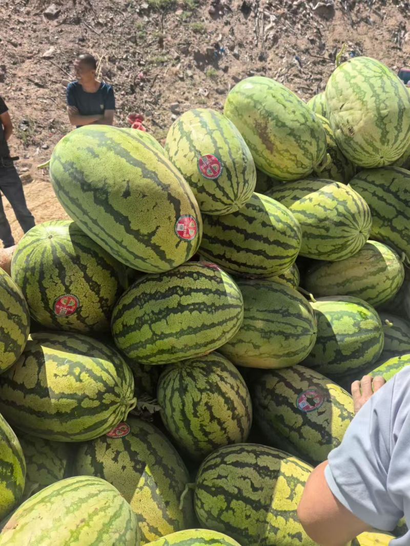宁夏中卫硒砂瓜石头瓜包熟包甜皮薄瓤红糖度高质量保证