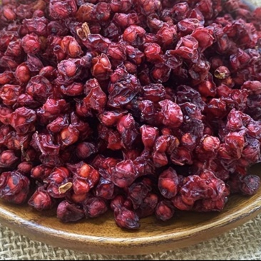 东北五味子