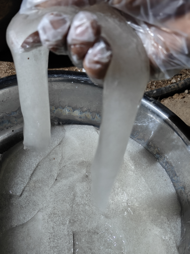 贵州冰粉籽手搓冰粉原料