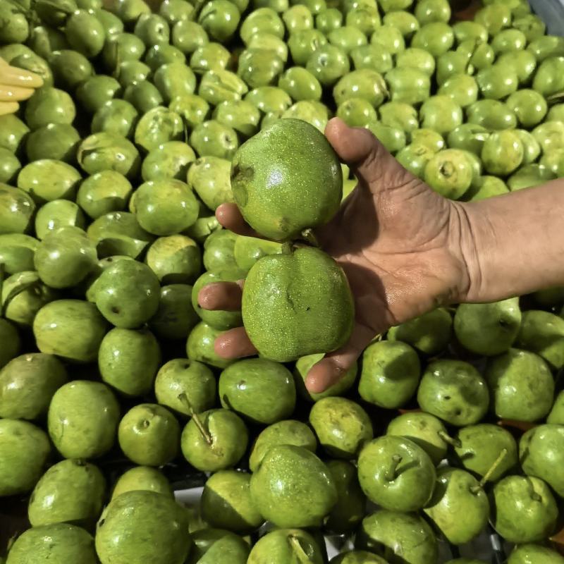 新鲜老树核桃油香味