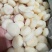 广西桂林荔浦生动整粒马蹄速冻整粒马蹄厂家直发