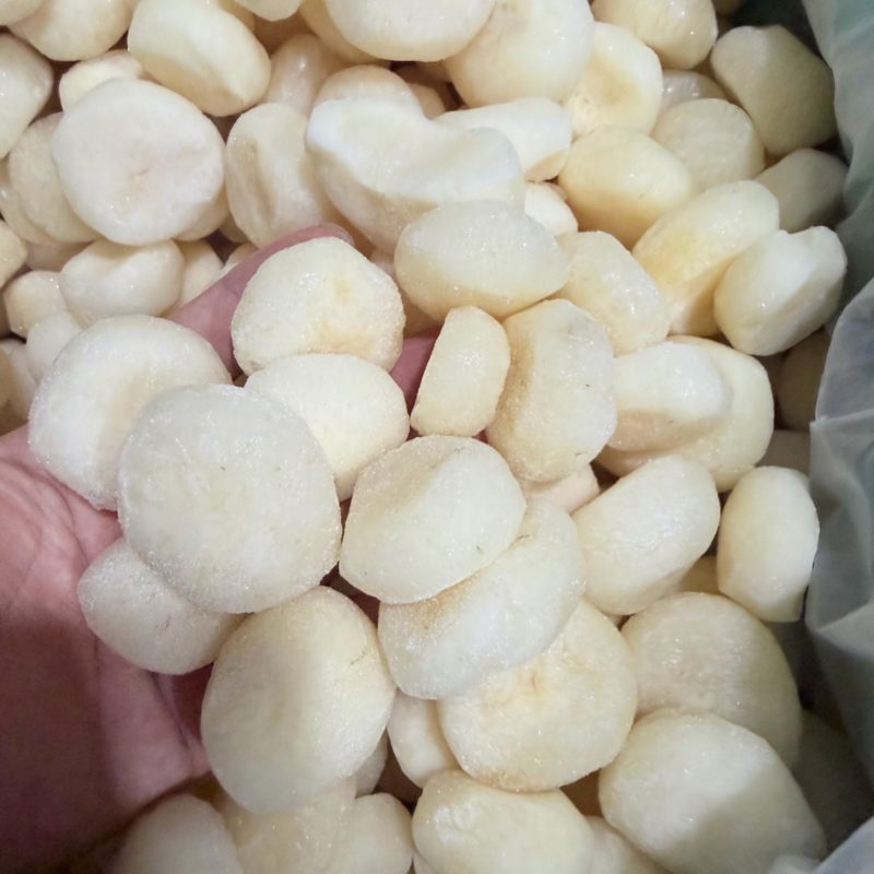 广西桂林荔浦生动整粒马蹄速冻整粒马蹄厂家直发
